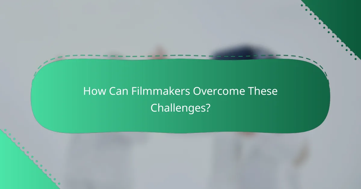 How Can Filmmakers Overcome These Challenges?
