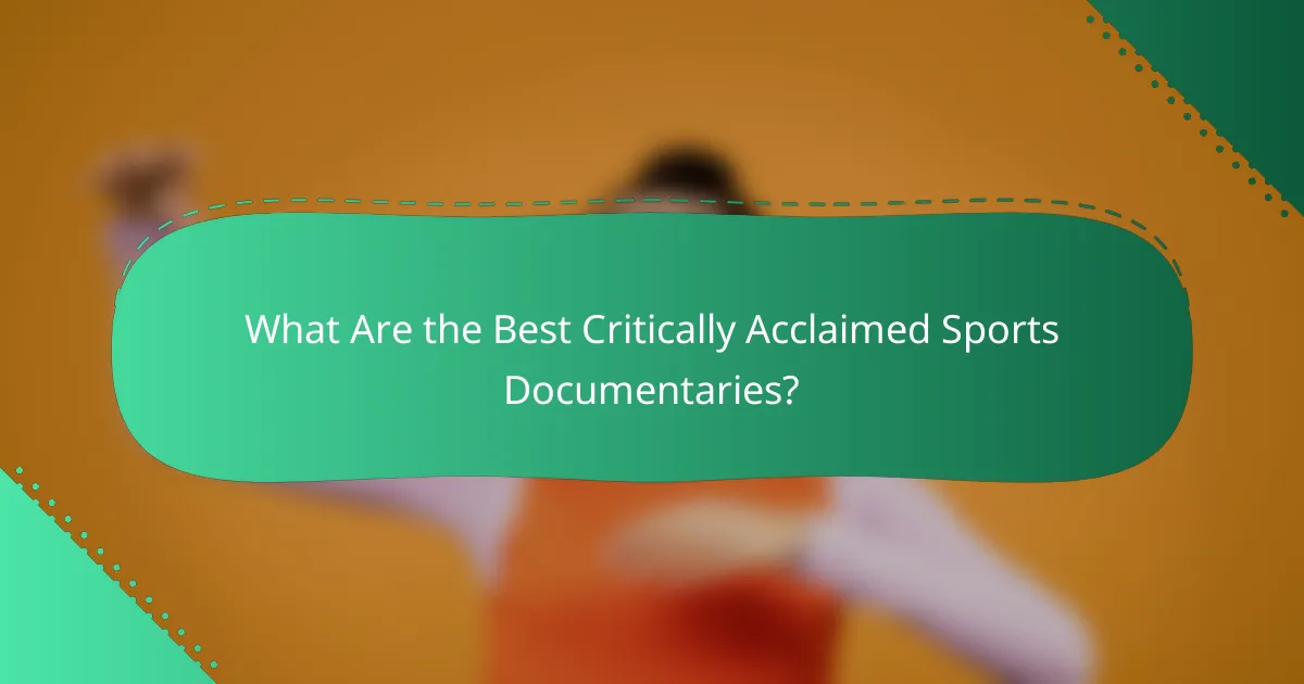 What Are the Best Critically Acclaimed Sports Documentaries?