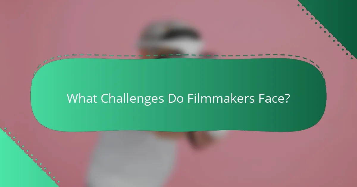 What Challenges Do Filmmakers Face?